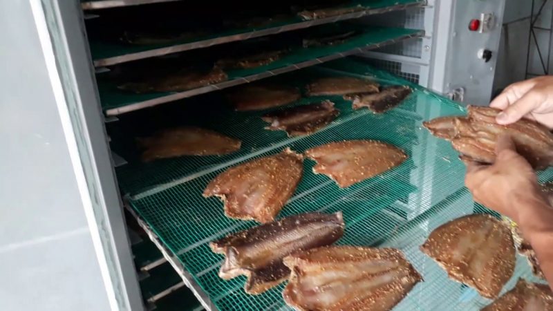 Tủ sấy nông sản công nghiệp được sử dụng để sấy nhiều loại thực phẩm khác nhau